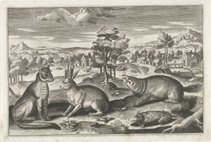 Animali del bosco da Anonymous