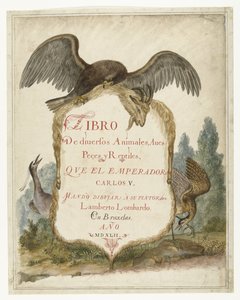 Cartouche tenuto da un