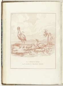 Comitato delle Alte, Basse e Medie Signorie, 1795