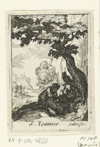 San Giovanni Battista penitente