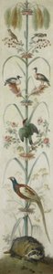Raffigurazione decorativa con piante e animali da Anonymous