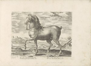 Cavallo tedesco