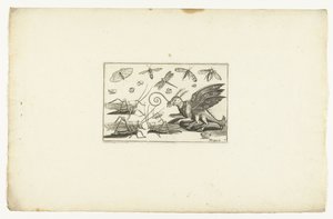 Una bestia alata fantastica e cavallette (Volatilium varii generis) da Anonymous