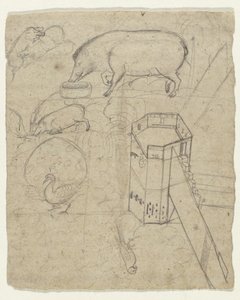 Alcuni studi di cinghiali, un pavone, un pappagallo e una torre