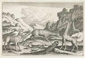 Animali esotici (serie di animali quadrupedi) da Anonymous
