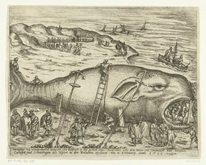 Balena arenata a Berckhey, 1598 da Anonymous