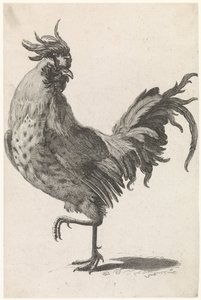 Gallo che cammina verso sinistra, guardando a destra da Anonymous
