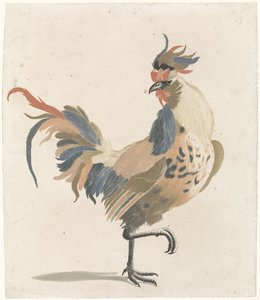 Gallo che cammina verso destra (versione A) da Anonymous