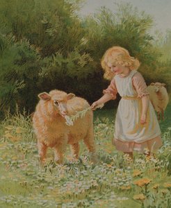 Nel prato