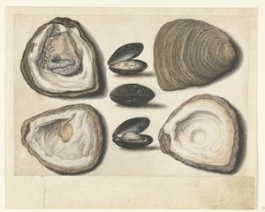 Ostriche e cozze (album Lombard)