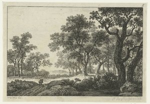 Sentiero attraverso il bosco