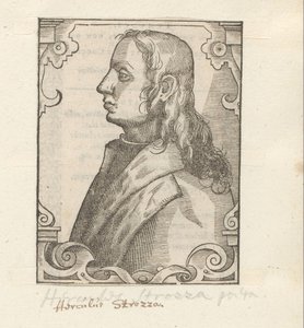 Ritratto di Ercole Strozzi da Anonymous