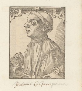 Ritratto di Giovanni Antonio Campani da Anonymous
