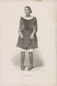 Ritratto di Máximo, 1857 da Anonymous