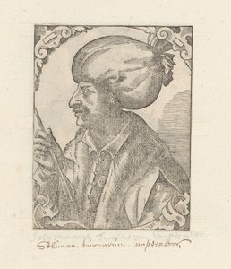 Ritratto di Solimano I il Magnifico