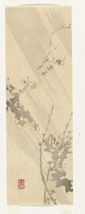 Fiori di prugna