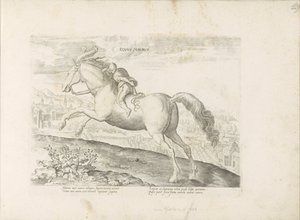 Cavallo da corsa con cavaliere da Anonymous