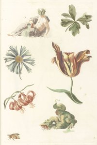 Dio del fiume, un drago e quattro fiori