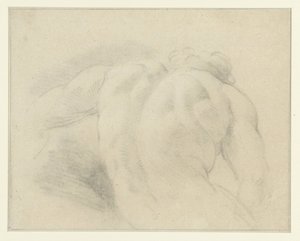 Studio di schiena di una figura maschile nuda