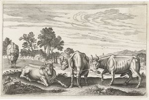 Bovini (Vierpotige dieren, Animalivm Qvaddrvpedvm)