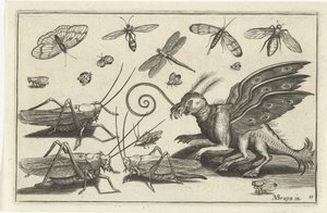 Cavallette e creatura fantastica con ali e membrane (Vogels en insecten) da Anonymous