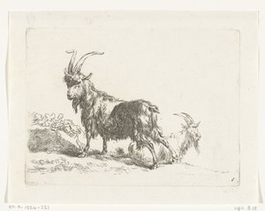 Capra o becco in piedi e sdraiato (Capre e pecore secondo N.P. Berchem) da Anonymous