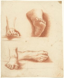 Studio di quattro piedi da Anonymous