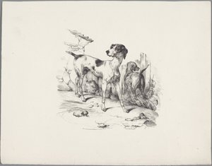 Due cani vicino a una recinzione (Zes kleine dierenstudies, Zestal kleine beesten-studien) da Anonymous
