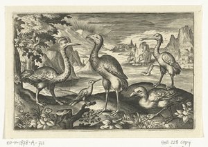 Cinque uccelli tra cui un ibis (Vogels en insecten) da Anonymous