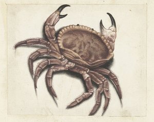 Granchio di mare (Lombard album)