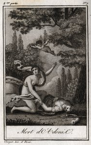 La morte di Adone. Incisione del 1819 in "Lettres a Emilie sur la mythologie" di Charles Albert Demoustier (1760-1801). Collezione privata da Anonymous Anonymous