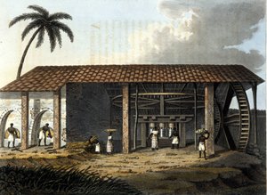 Brasile, fabbrica di zucchero - in 