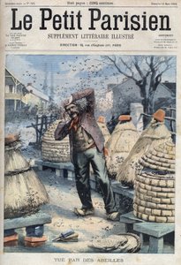 Morte di un apicoltore attaccato dalle api mentre estraeva il miele dagli alveari a Quincey vicino a Nuits Saint Georges (Nuits-Saint-Georges) in Cote d