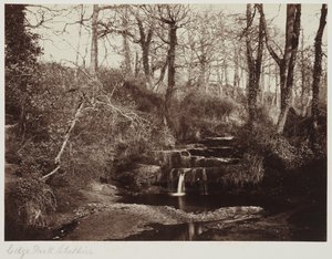 Edge Park, Cheshire, c.1865 da Anonymous Anonymous