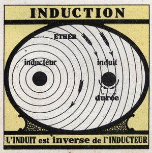 Fenomeni elettrici: induzione. L