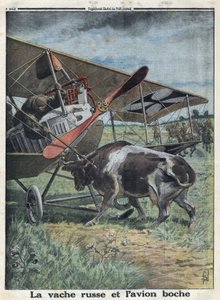 Prima Guerra Mondiale 1914-1918. Una mucca in Russia impedisce a un aereo dell