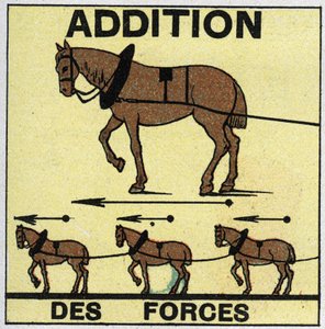 Forze: Addizione di Forze. Illustrazione anonima del 1925. Collezione privata