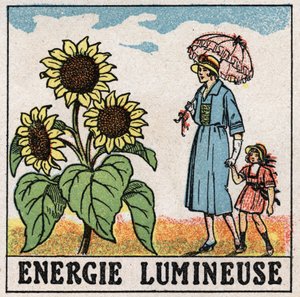 Energia luminosa: il girasole è influenzato dalla luce solare. Illustrazione anonima del 1925. Collezione privata. da Anonymous Anonymous