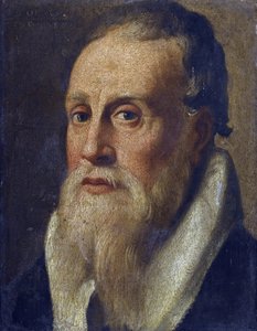 Ritratto del poeta Nicolo da Verona da Anonymous Anonymous