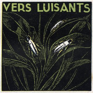 Fosforescenza: verdi luminosi da Anonymous Anonymous