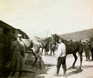 Fotografia da un album personale di un tenente di fanteria durante i primi mesi della Prima Guerra Mondiale