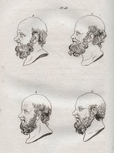 Fisiognomica - Fisiognomonia - Diverse teste del filosofo greco Socrate (ca. 469 a.C.-399 a.C.) - incisione del 1808 in 