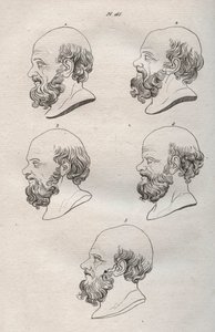 Fisiognomia - Fisiognomonia - Diverse teste del filosofo greco Socrate (ca. 469 a.C.-399 a.C.) (Busto di Socrate (ca 469 a.C.-399 a.C.), filosofo ateniese) incisione del 1808 in "L