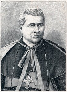 Ritratto di Giovanni Simeoni (1816-1892), cardinale italiano. Incisione in "Les Missions Catholiques au XIXeme Siecle" di Louis-Eugene Louvet. Collezione privata da Anonymous Anonymous