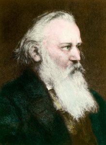 Ritratto di Johannes Brahms (1833-1897), compositore tedesco (incisione del XIX secolo) da Anonymous Anonymous