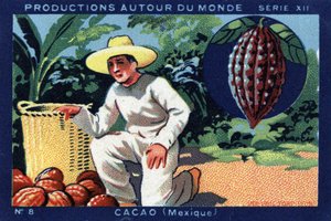 Produzioni nel mondo: Cacao in Messico. Cromolitografia del 1933 in “Joseph-Milliat Album”