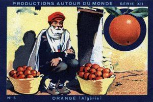 Produzioni nel mondo: arancia in Algeria. Cromolitografia del 1933 in "Album Joseph-Milliat" da Anonymous Anonymous