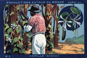 Produzioni nel mondo: Vaniglia nelle Indie Occidentali. Cromolitografia del 1933 in “Joseph-Milliat Album”