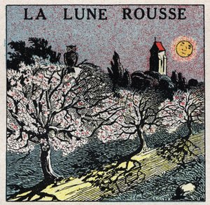 Radiazione e conducibilità: la luna rossa la cui luce brucia i germogli dei fiori. Illustrazione anonima del 1925. Collezione privata. da Anonymous Anonymous