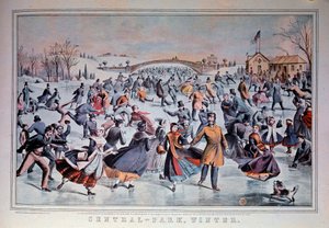 Pattinaggio sul lago ghiacciato di Central Park a New York, USA da Anonymous Anonymous